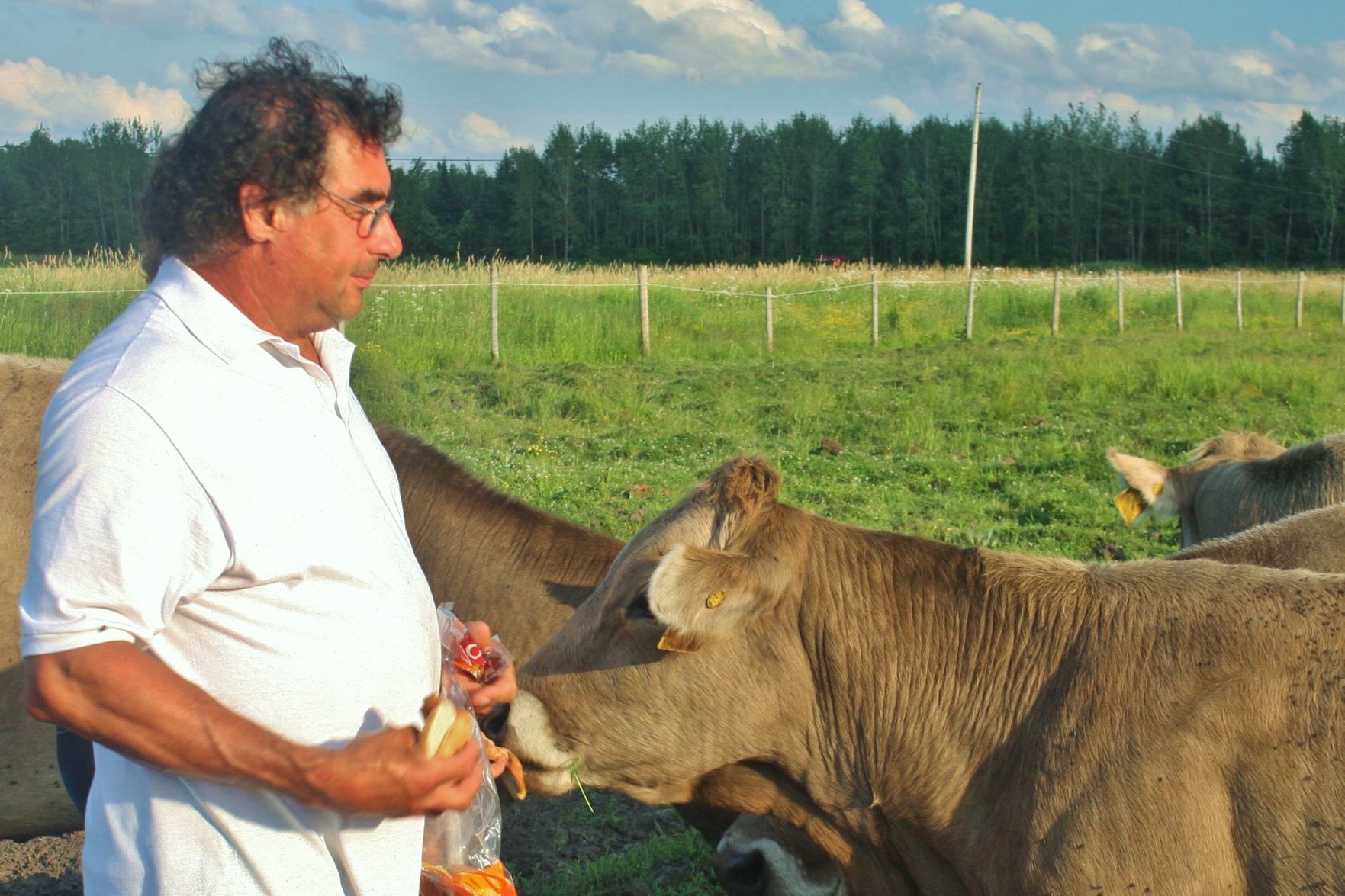 Tom Carlson with cattle